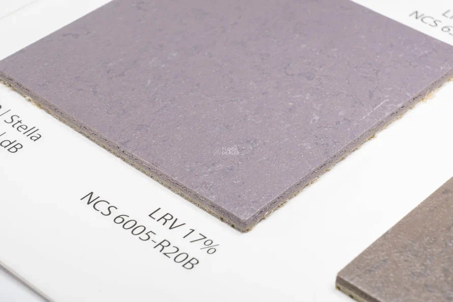 Forbo Marmoleum Solid Concrete 3730-373035 Stella фото 2 | FLOORDEALER
