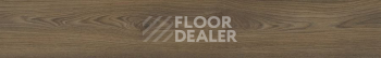 FineFloor FF-1800 Gear 1807 Брно фото 2 | FLOORDEALER
