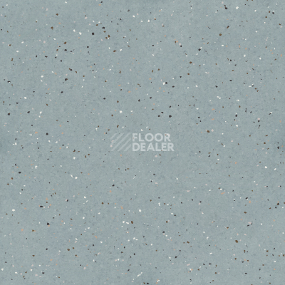 Линолеум Tarkett iQ Lyra 506 фото 1 | FLOORDEALER