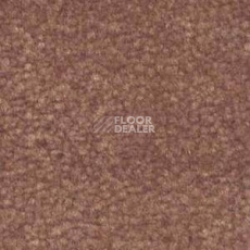 Ковролин Shaw Bradberry 30 362 фото 1 | FLOORDEALER