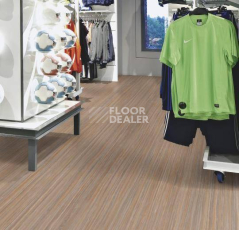 Forbo Marmoleum Linear Striato Original 5225 compressed time фото 2 | FLOORDEALER