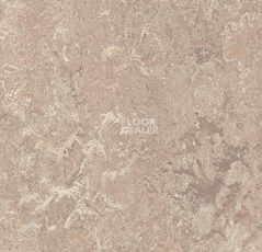 Кварцвиниловые полы Forbo Marmoleum Modular t3232 horse roan фото 1 | FLOORDEALER