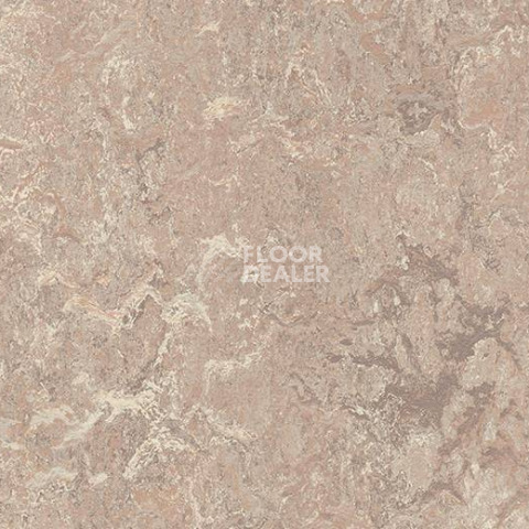 Кварцвиниловые полы Forbo Marmoleum Modular t3232 horse roan фото 1 | FLOORDEALER