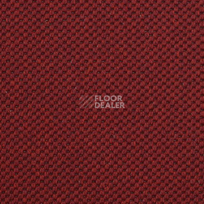 Ковролин Carpet Concept Yve 2 6427 фото 1 | FLOORDEALER
