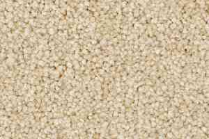 Ковролин Balsan First Class 620 фото  | FLOORDEALER