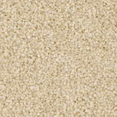 Ковролин Balsan First Class 620 фото 1 | FLOORDEALER