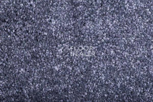 Ковролин Tarkett Diva 44681 фото 1 | FLOORDEALER