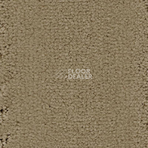 Ковролин Balsan Grand Hotel Chambord 630 фото 1 | FLOORDEALER