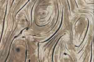 Ковролин M2 Carpets Reality Rea 01 b фото  | FLOORDEALER