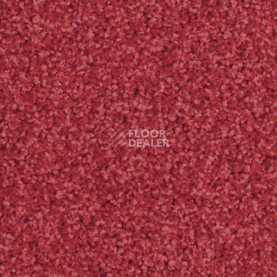Ковровая плитка Balsan Mezzo 570 фото 1 | FLOORDEALER