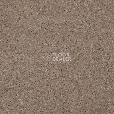 Ковролин Shaw Design Texture Platinum 740 фото 1 | FLOORDEALER