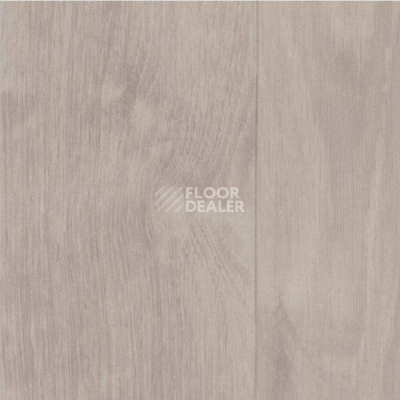 Линолеум Grabo Silver Knight Acoustic 7 1003_384_875_275 фото 1 | FLOORDEALER