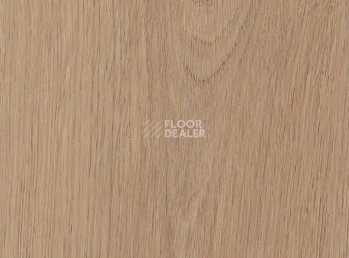 Кварцвиниловые полы AW Invictus Primus Plank Cashmere Oak Sunny фото 1 | FLOORDEALER