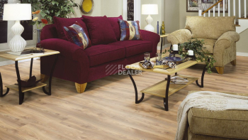 Kronotex Mammut Plus d4794 Дуб Натуральный Макро фото 3 | FLOORDEALER