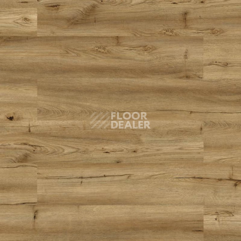 Пробковое покрытие Wood Go LJY6001 Oak Rustic фото 1 | FLOORDEALER