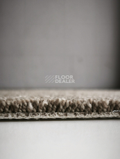 AW Westminster / Вестминстер 49 фото 6 | FLOORDEALER