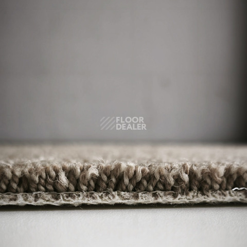 AW Westminster / Вестминстер 49 фото 6 | FLOORDEALER