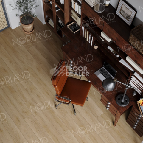 Norland Sigrid  LVT 2мм Rett 1003-21 фото 3 | FLOORDEALER