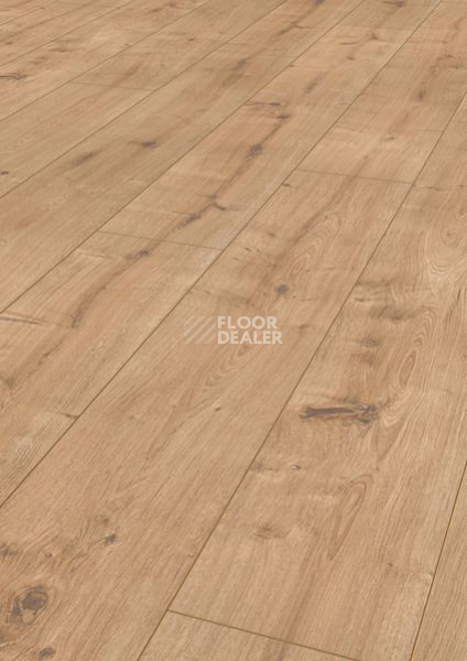 Ламинат Terhurne Dureco Classic Line 2810 / a12 Дуб Cахара-бежевый фото 1 | FLOORDEALER