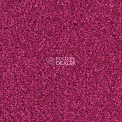 Ковровая плитка Balsan Bolero 555 фото 1 | FLOORDEALER