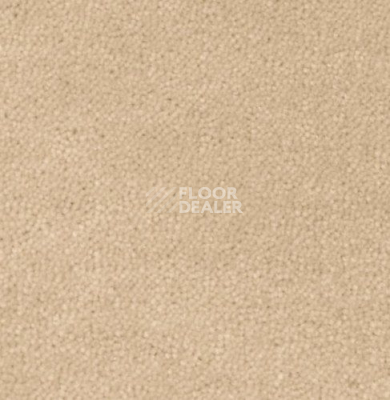 Ковролин Creatuft Sheba 1761 Vanilla 4 + 5m фото 1 | FLOORDEALER