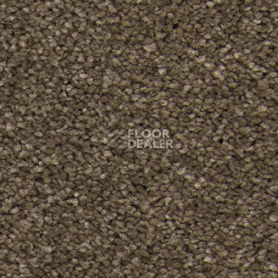 Ковролин Balsan Idylle 750 фото 1 | FLOORDEALER