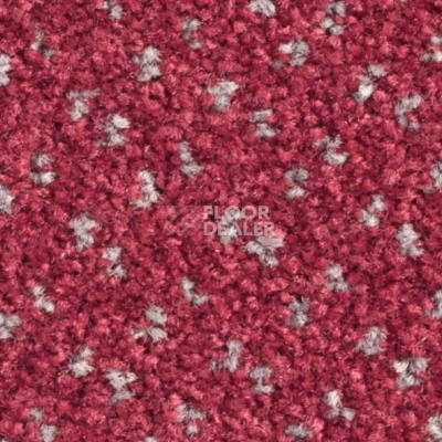 Ковролин Balsan Capitol Capitol 540 фото 1 | FLOORDEALER