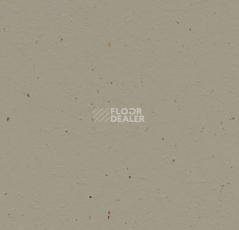 Линолеум Forbo Marmoleum Decibel on Order 359635 hummus фото 1 | FLOORDEALER