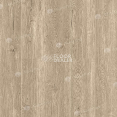 Кварцвиниловые полы Alpine Floor Sequoia (SPC) Секвойя Коньячная ЕСО 6-2 SPC фото 1 | FLOORDEALER