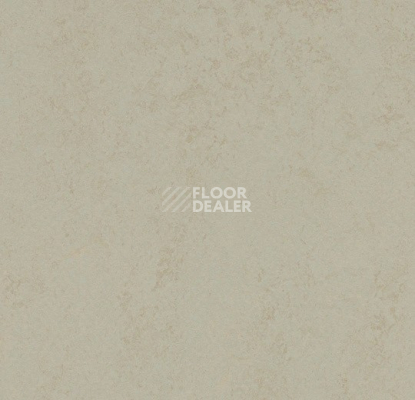 Линолеум Forbo Marmoleum Decibel 376035 dust фото 1 | FLOORDEALER