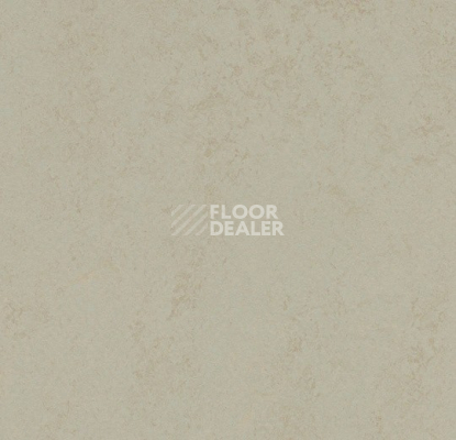Линолеум Forbo Marmoleum Decibel 376035 dust фото 1 | FLOORDEALER