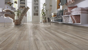 Kronotex Aqua Amazone 10мм D3662 Дуб Монтмело серебряный фото 4 | FLOORDEALER