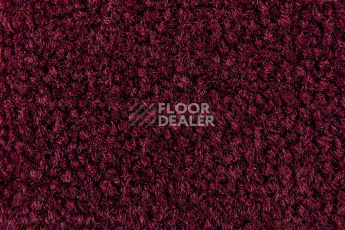 Balsan Les Best 590 фото 2 | FLOORDEALER