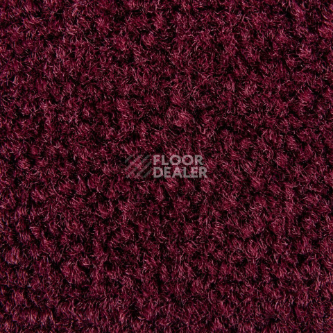 Balsan Les Best 590 фото 2 | FLOORDEALER