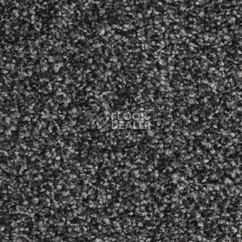 Ковролин Balsan Script 995 фото 1 | FLOORDEALER