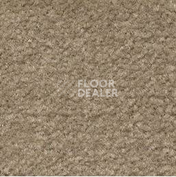 Ковролин Emphatic Beaulieu of America 56742 фото 1 | FLOORDEALER