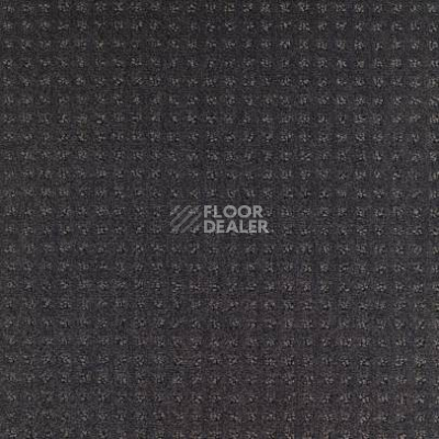 Ковролин Balsan Territoires Atrium 981 фото 1 | FLOORDEALER