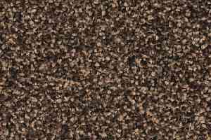 Ковровая плитка Balsan Mezzo 790 фото  | FLOORDEALER