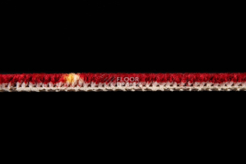 Haima Lily Red фото 4 | FLOORDEALER