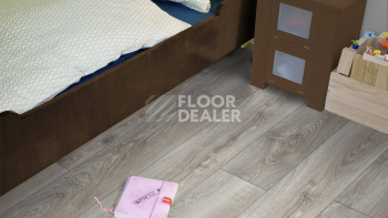 Kronotex Mammut Plus d4797 Дуб Горный Серебристый фото 5 | FLOORDEALER