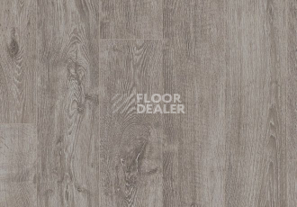 Parador Basic Plus 200 V 1594000 Дуб Светло-серый фото 2 | FLOORDEALER