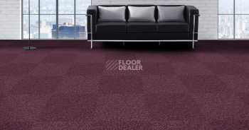 Alfa Alfa 201 фото 2 | FLOORDEALER