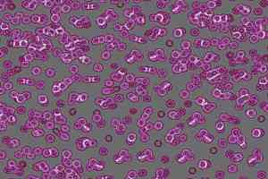 Ковролин Forbo Flotex Sottsass Bacteria 990301 фото  | FLOORDEALER