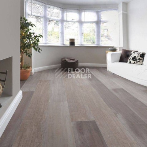 Kronotex Mammut Plus d4738 Дуб Северный фото 10 | FLOORDEALER