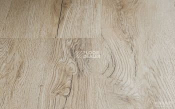 Vinilam Cork Premium Click 8мм 33488 Дуб Валенсия фото 2 | FLOORDEALER