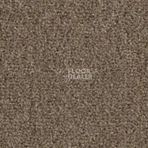Ковролин Balsan Majestic 785 фото 1 | FLOORDEALER