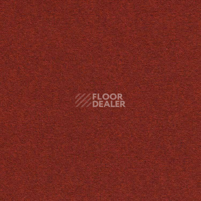 Ковролин Finett Feinwerk 503508 фото 1 | FLOORDEALER