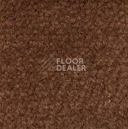Ковролин Emphatic Beaulieu of America 56620 фото 1 | FLOORDEALER