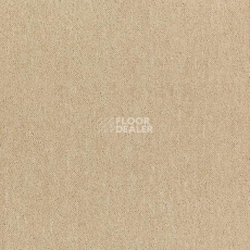 Ковровая плитка Shaw Momentum 02312 фото 1 | FLOORDEALER