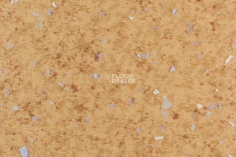 Forbo Emerald Spectra 5525 фото 1 | FLOORDEALER